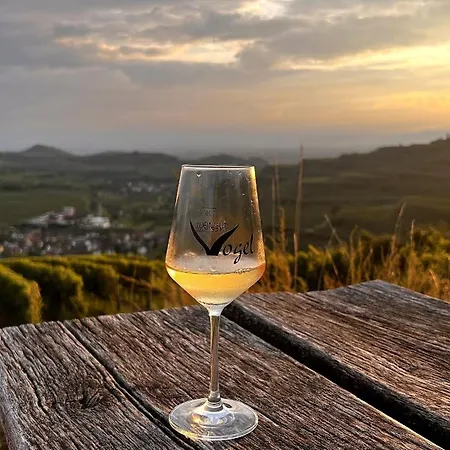 Bienenfresser Vogtsburg